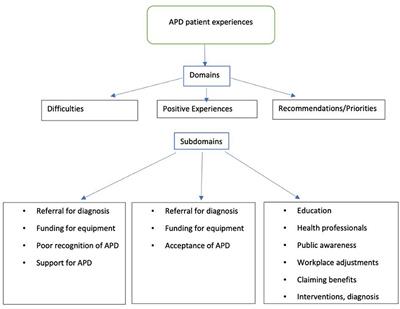 Experiences of Patients With Auditory Processing Disorder in Getting Support in Health, Education, and Work Settings: Findings From an Online Survey